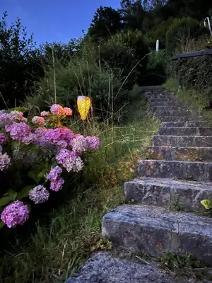 Ein Garten an der Unterkunft Exklusiver Seetraum am Attersee direkt am See