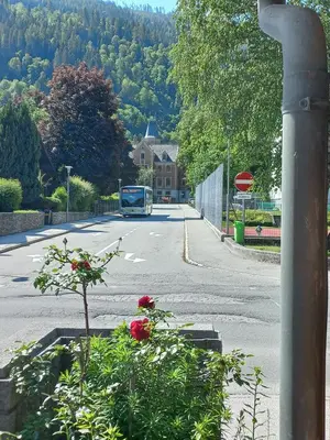 Naturlandschaft in der Nähe der Ferienwohnung