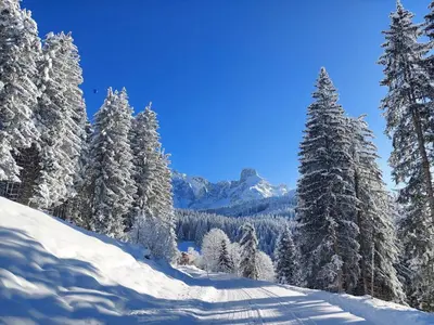 Berg-Apartment Kleinmauerreith im Winter