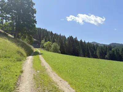 Naturlandschaft in der Nähe des Chalets