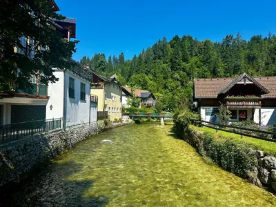 Naturlandschaft in der Nähe der Ferienwohnung