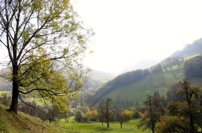 Naturlandschaft in der Nähe der Pension