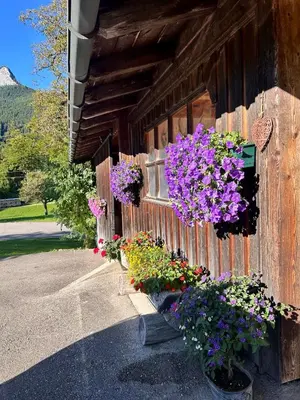 Ein Garten an der Unterkunft Ferienwohnung Bleckwand am Buchberghof