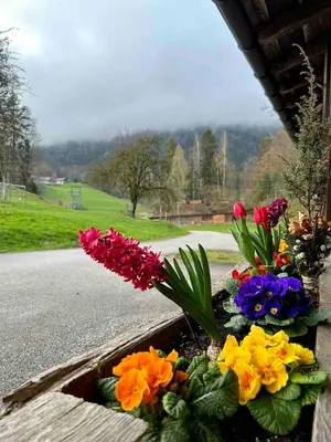Ein Garten an der Unterkunft Ferienwohnung Bleckwand am Buchberghof