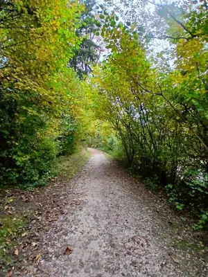 Naturlandschaft in der Nähe des Privatzimmers