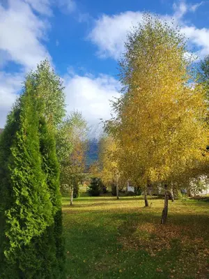 Ein Garten an der Unterkunft Grimminglounge
