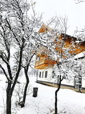 Lippingergut - Kaiserschmarrn Suite im Winter