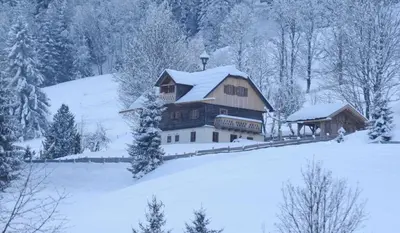 Landhaus Gschwandtner im Winter