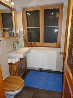 Ein Badezimmer in der Unterkunft Ferienhaus am Fluss, zentrale Lage