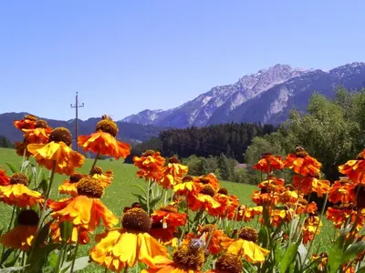 Naturlandschaft in der Nähe der Ferienwohnung