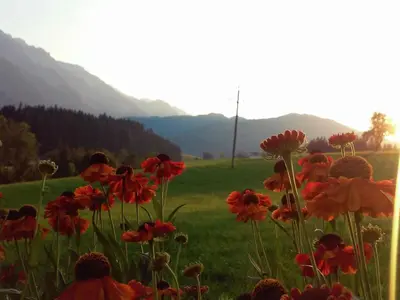 Naturlandschaft in der Nähe der Ferienwohnung