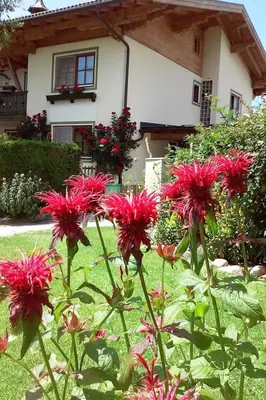 Ein Garten an der Unterkunft Apartment Gsenger in Abtenau by Interhome