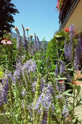 Ein Garten an der Unterkunft Apartment Gsenger in Abtenau by Interhome