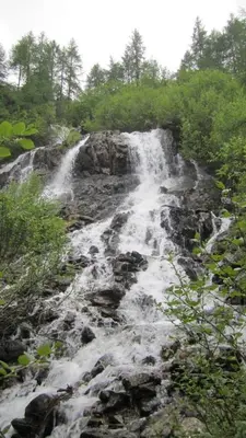Naturlandschaft in der Nähe des Bauernhofs