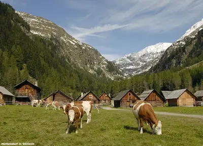 Tiere in der Ferienwohnung oder in der Nähe