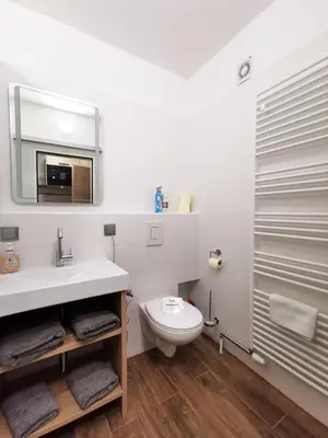 Ein Badezimmer in der Unterkunft Apartment Alpenblick Bad Aussee
