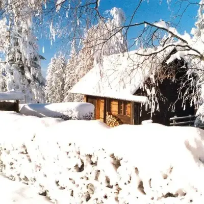Ferienhütte Windlegern