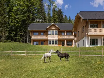 Tiere im Ferienhaus oder in der Nähe
