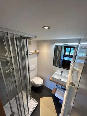Ein Badezimmer in der Unterkunft Blashof seit 1693 - Apartments Schladming