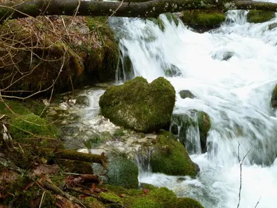 Naturlandschaft in der Nähe der Ferienwohnung
