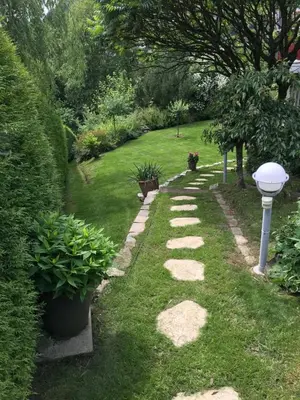 Ein Garten an der Unterkunft Südhang FeWo