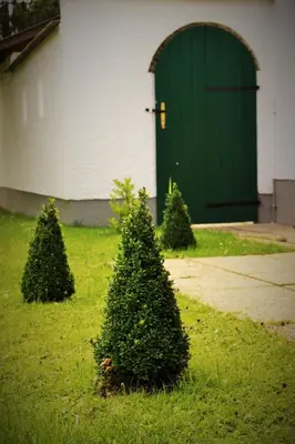 Ein Garten an der Unterkunft Landhaus Kulm
