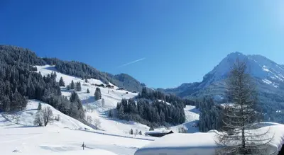 Naturlandschaft in der Nähe des Hotels