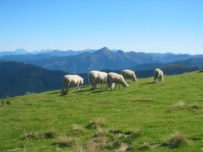Naturlandschaft in der Nähe des Bed & Breakfasts