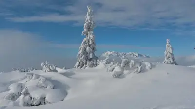 Haus Lassacher im Winter