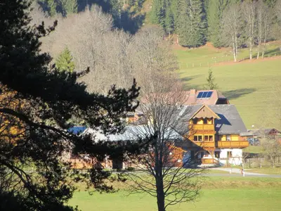 Naturlandschaft in der Nähe der Ferienwohnung
