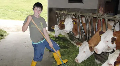 Tiere in diesem Bauernhof oder in der Nähe