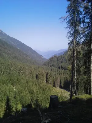 Naturlandschaft in der Nähe der Ferienwohnung