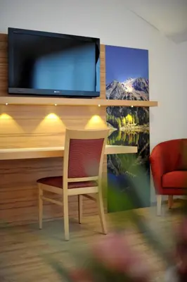 TV/Unterhaltungsangebot in der Unterkunft Hotel Sonnschupfer