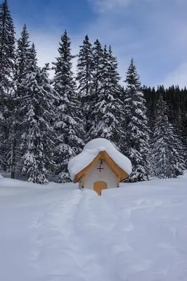 Appartementhaus Speckalm im Winter