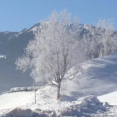 Gut Maierlehen im Winter
