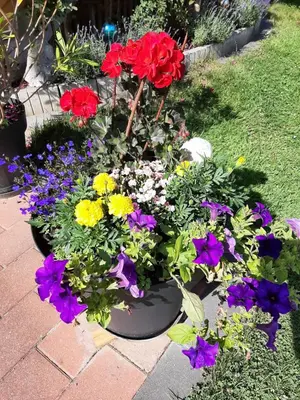 Ein Garten an der Unterkunft Landhaus Tippl