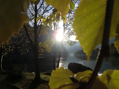 Naturlandschaft in der Nähe des Bed & Breakfasts