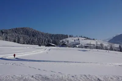 Ferienwohnungen Rettenbacher im Winter