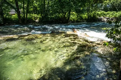 Naturlandschaft in der Nähe des Bed & Breakfasts
