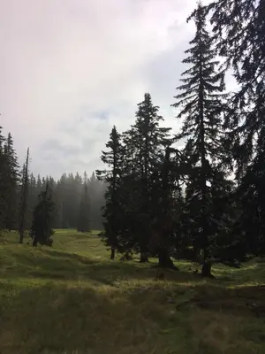 Naturlandschaft in der Nähe des Chalets