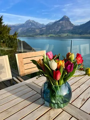 Naturlandschaft in der Nähe der Ferienwohnung