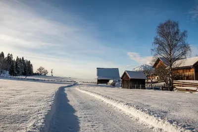 Moserhof im Winter