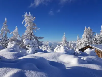 Landhaus Sonnenschein im Winter
