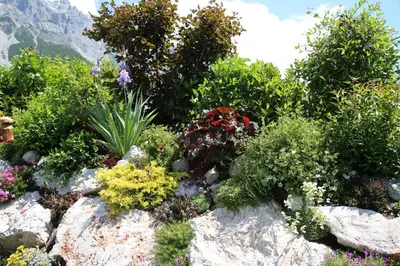 Ein Garten an der Unterkunft Pension Stoffenbauer