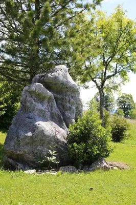 Naturlandschaft in der Nähe der Pension