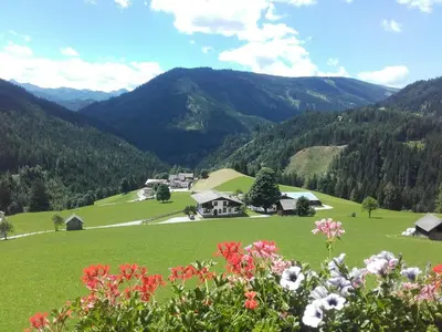Naturlandschaft in der Nähe der Pension