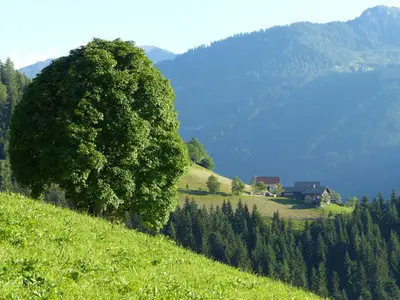 Naturlandschaft in der Nähe der Ferienwohnung