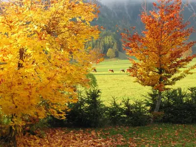 Naturlandschaft in der Nähe der Ferienwohnung