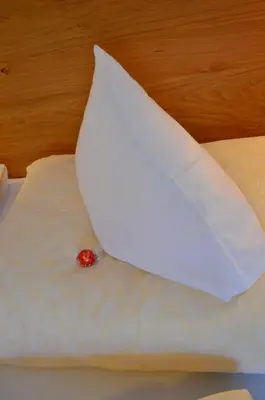 Ein Bett oder Betten in einem Zimmer der Unterkunft Filzerlehen
