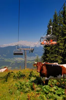 Naturlandschaft in der Nähe des Ferienhauses